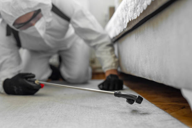 Professional Termite Control technician working in Meadows Place, TX