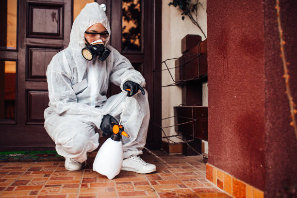 Reliable Termite Control contractor in Meadows Place, TX by Nex Pest Control